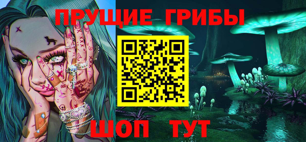 Псилоцибиновые грибы GOLDEN TEACHER  Галлюциногенные грибы Psilocybine cubensis  Вход с VPN  Серпухов 