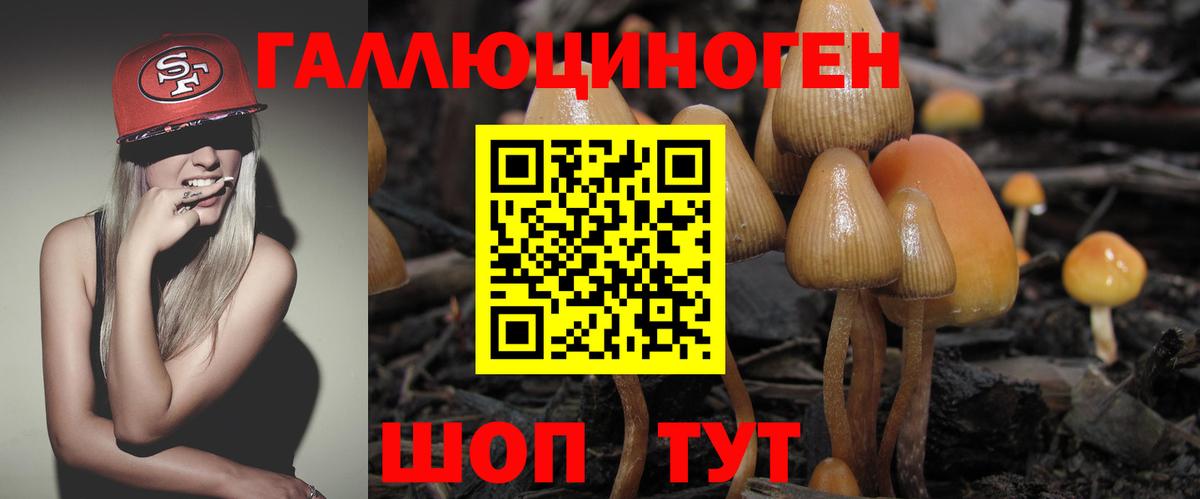 Галлюциногенные грибы мицелий Серпухов